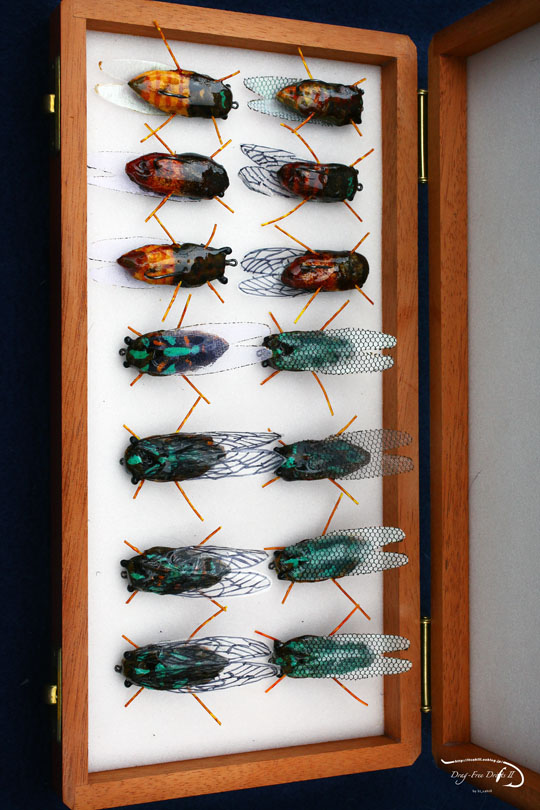 f0085599_100849.jpg