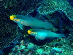e0023100_17211039.jpg