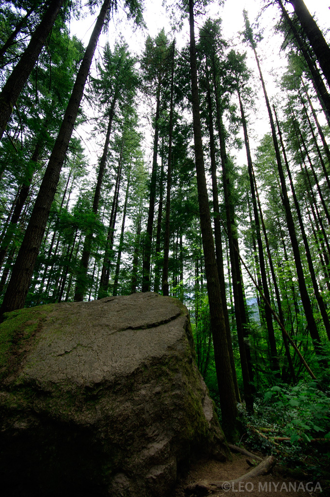 Rattlesnake Ledge Trail -1-_c0080101_18291348.jpg