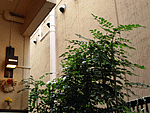 b0172203_1931856.gif