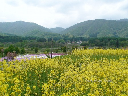 d0087503_11463940.jpg