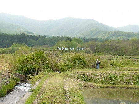 d0087503_1147555.jpg