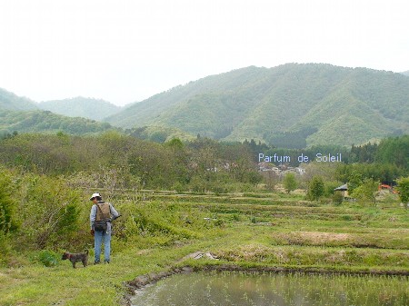 d0087503_1148446.jpg