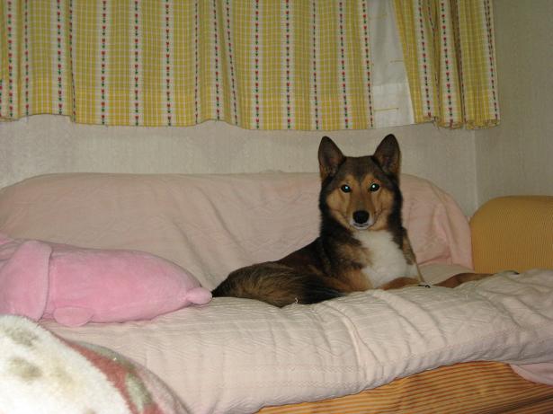 d0032004_840577.jpg