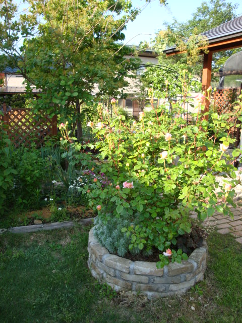 e0175905_2038145.jpg