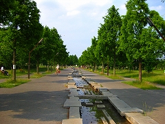 a0036808_16152193.jpg