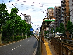 a0036808_162829.jpg
