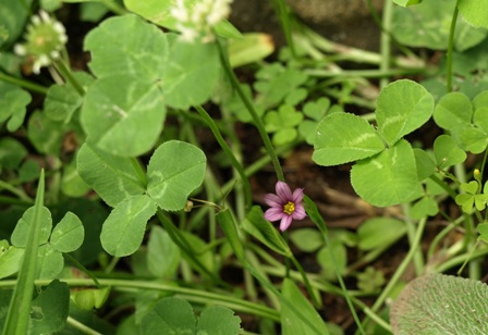 b0026408_21244838.jpg