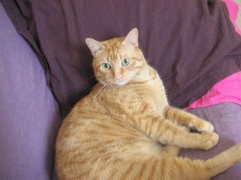 e0115312_813810.jpg