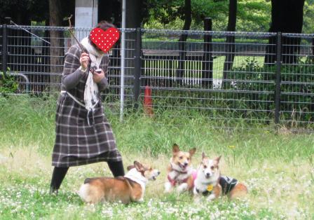 コギわら~ in 城北中央公園_f0155118_6574523.jpg