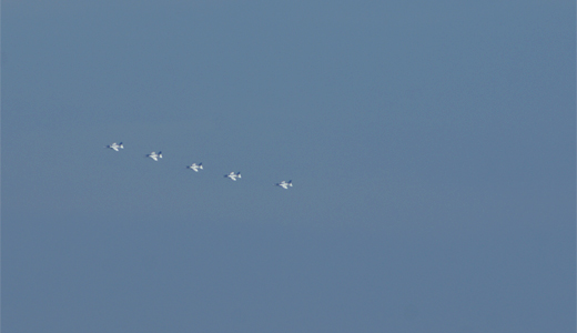 c0147123_13494054.jpg