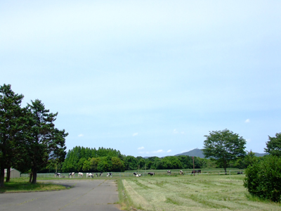 e0145324_85136.jpg