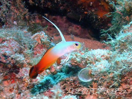 d0107725_22434999.jpg