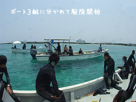 d0107725_2316315.jpg