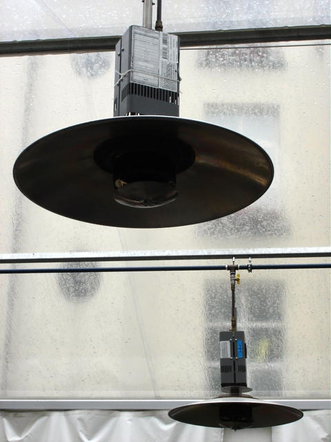 d0060828_064310.jpg