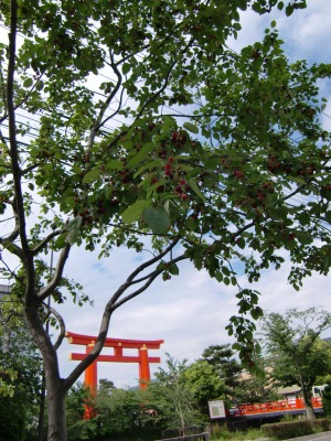 e0015828_1842510.jpg