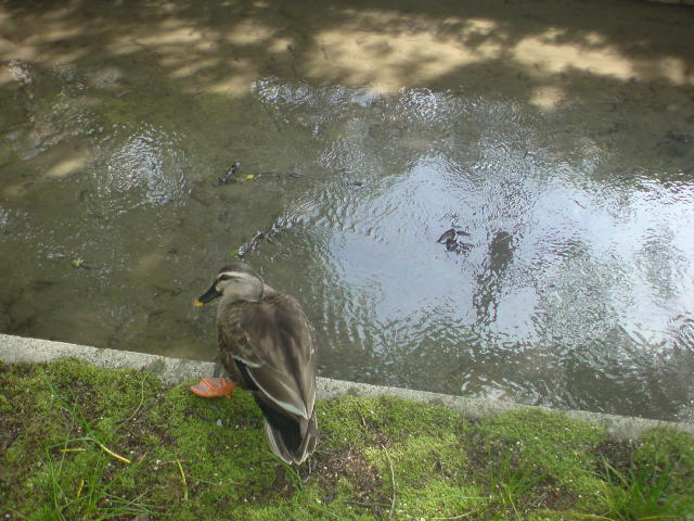 e0016828_21423777.jpg