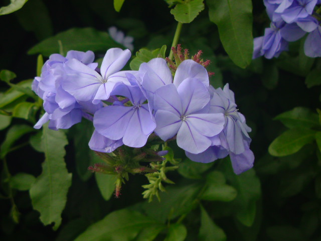 e0016828_2152348.jpg