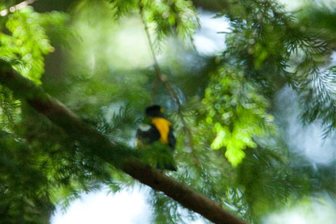 e0104632_13225343.jpg