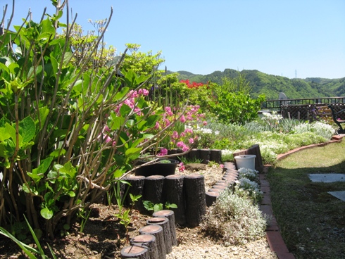 北アルプスの見えるお宿「旅館 七倉荘」様_b0140235_1240413.jpg
