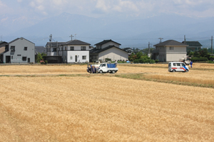 e0156339_23144373.jpg