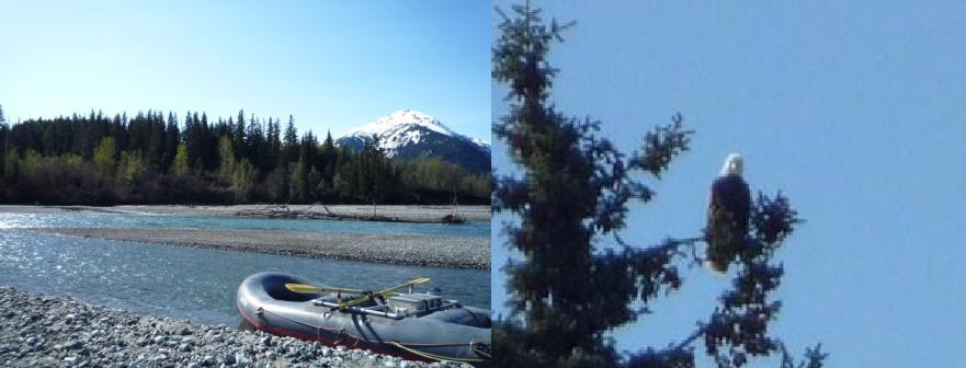 東南アラスカ その4 <ヘインズ>_b0135948_7305411.jpg