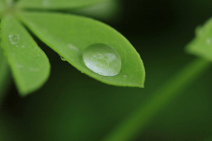 b0046050_1816327.gif
