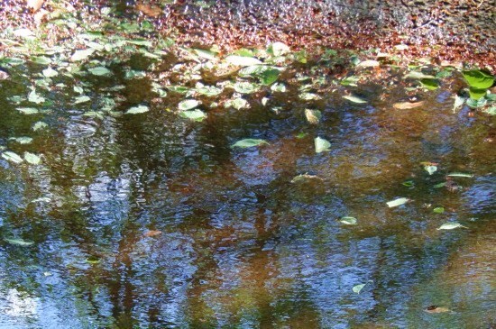 e0126350_20262691.jpg