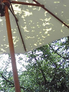 朝の京都散策 平安神宮&カフェ_e0108851_22573850.jpg