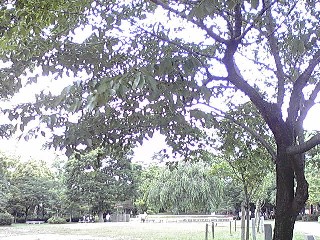 朝の京都散策 平安神宮&カフェ_e0108851_230235.jpg