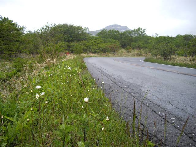 d0116059_11554546.jpg
