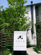 f0147759_1353665.jpg