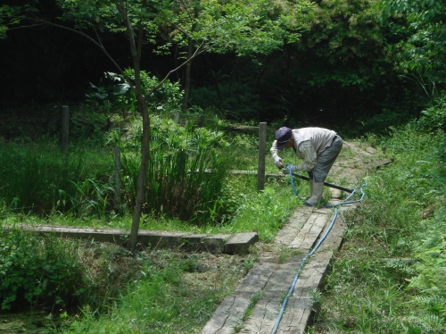 c0108460_1750115.jpg