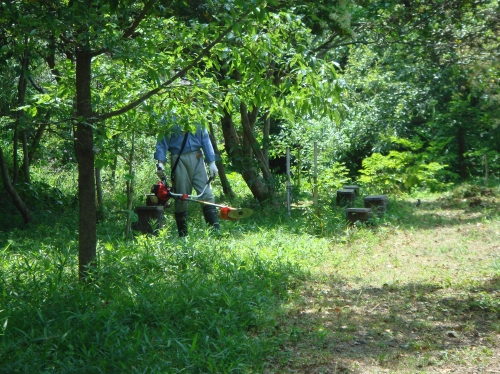 c0108460_1752822.jpg