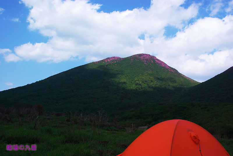 f0173067_10533198.jpg