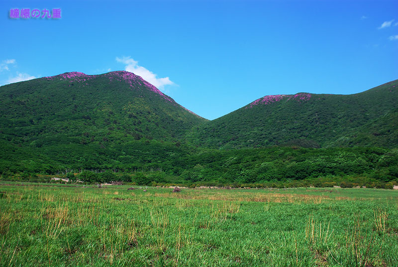 f0173067_10542745.jpg