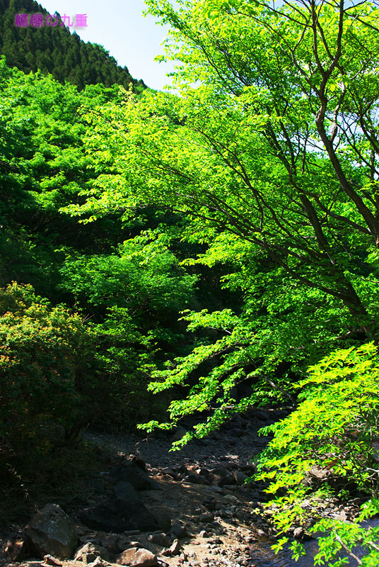 f0173067_1115220.jpg