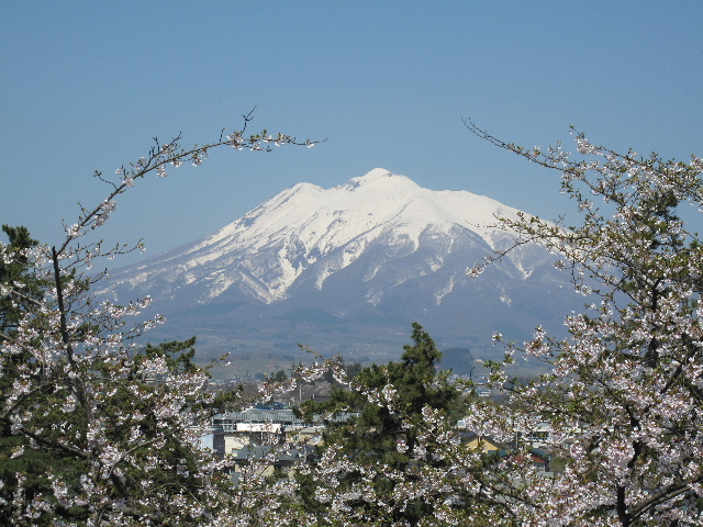 弘前公園桜_b0184468_0281083.jpg