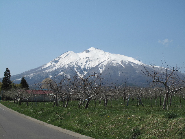 b0184468_23461959.jpg