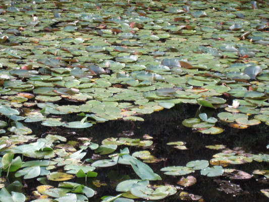 c0097371_0441911.jpg