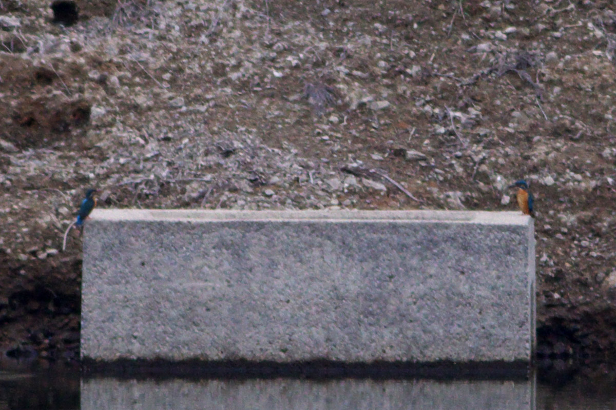 b0180476_21441267.jpg