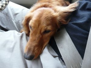 2009年6月1日 私もB型です_b0098584_3473817.jpg