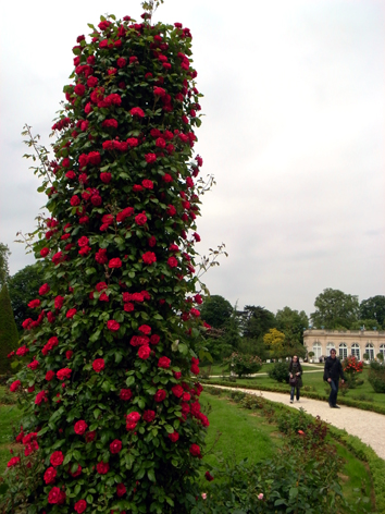 b0121884_9233165.jpg