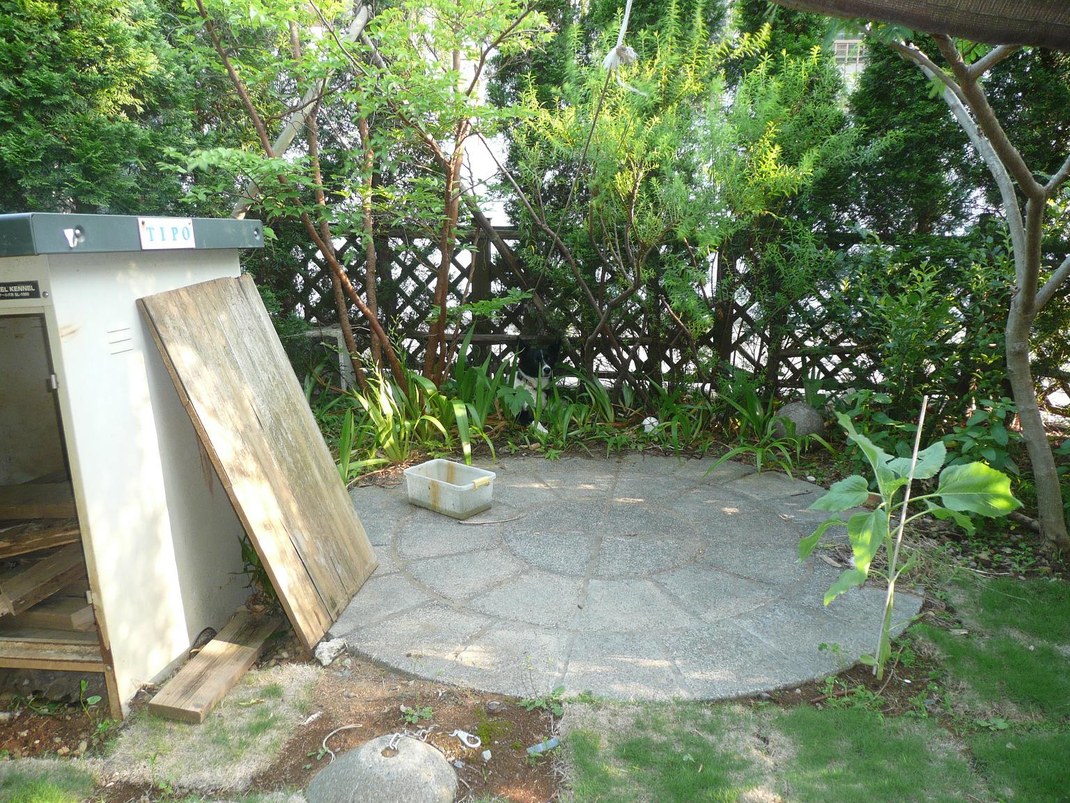 b0122485_1415380.jpg