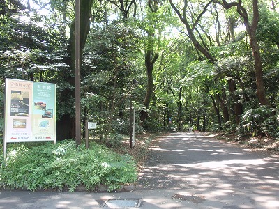 明治神宮 ～初夏2009編_c0105785_1051145.jpg