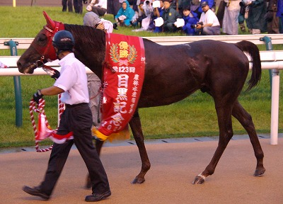 目黒記念は、ミヤビランベリが５馬身差の圧勝で重賞２勝目を挙げる_b0015386_1575197.jpg