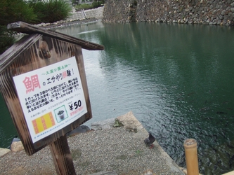 c0039291_018494.jpg