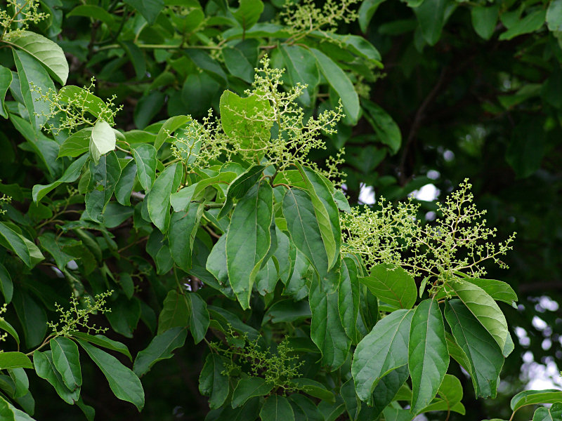 f0204094_7312623.jpg
