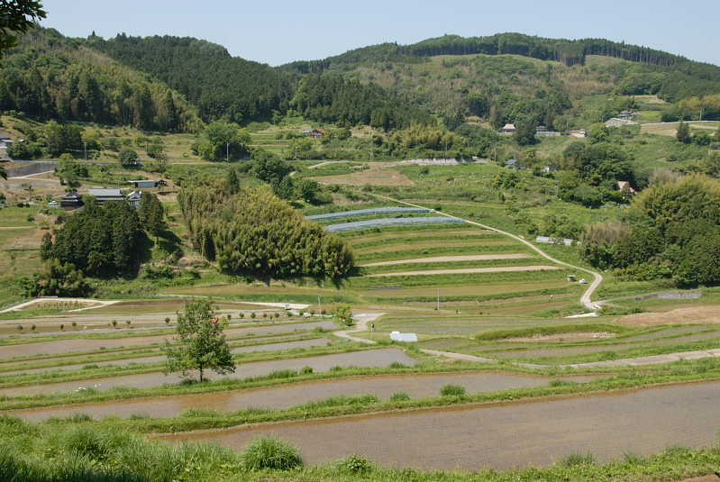 棚田風景Ⅱ_d0103199_7572311.jpg