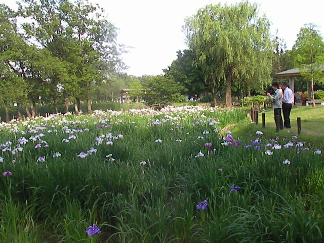 f0038407_23534638.jpg